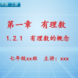 七（上）数学：第一章  有理数   1.2.1 有理数的概念